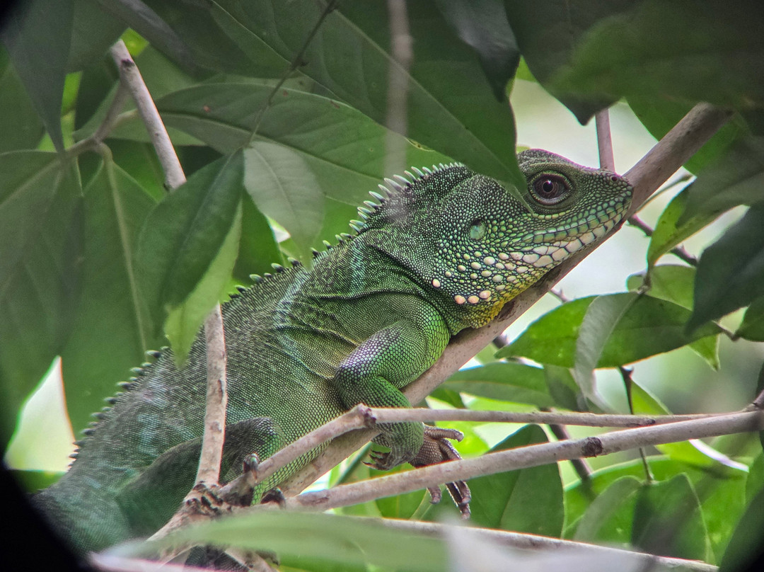 考艾自然生活及旅游主图