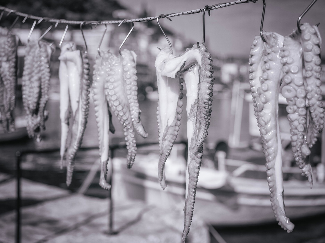 Romania Photo Tours-锡比乌必去景点