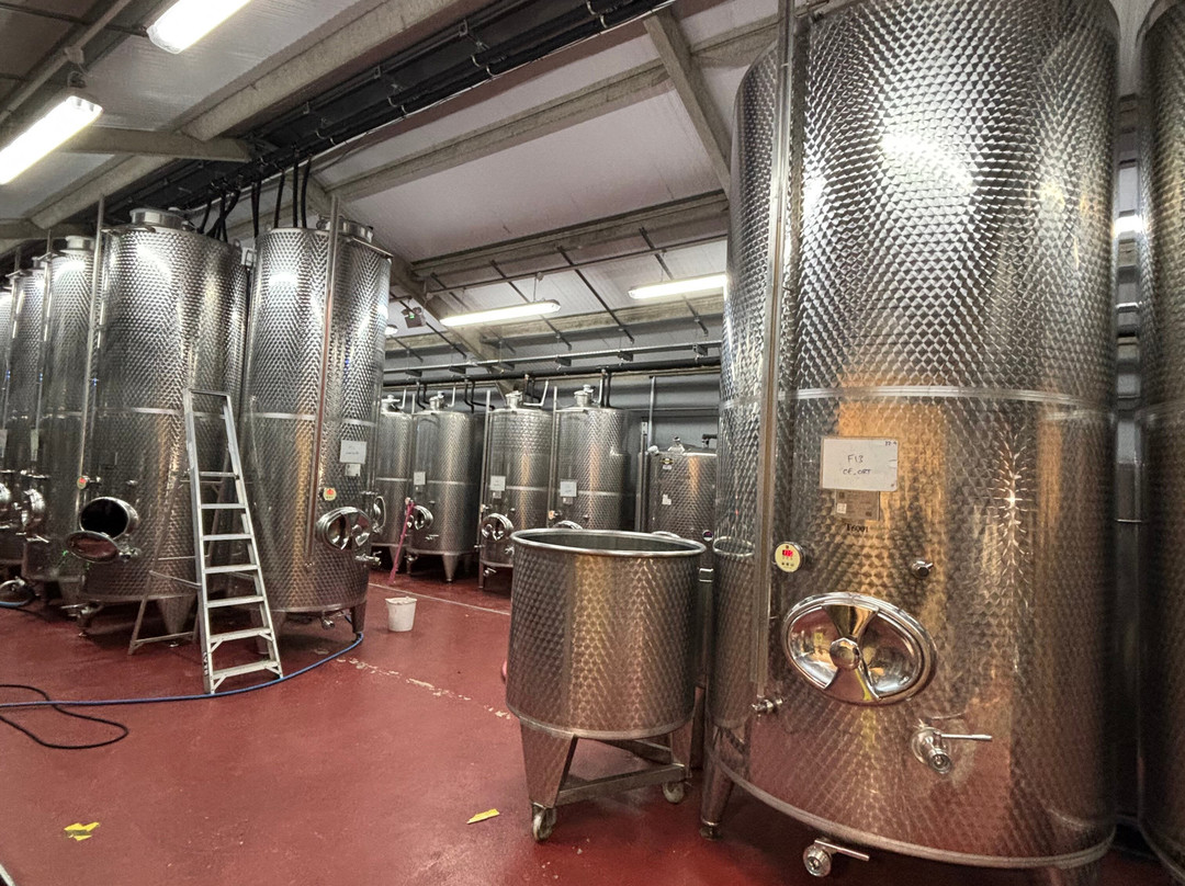 Woodchester Valley Vineyard-斯特劳德必去景点