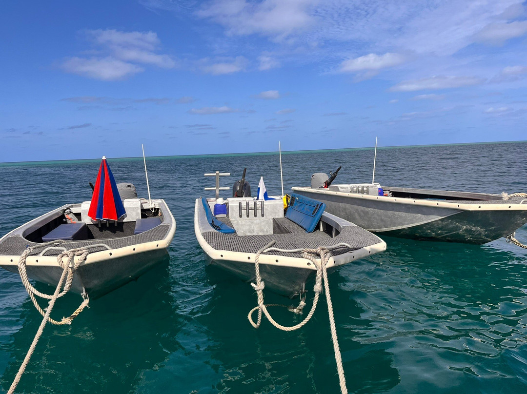 Diversity Charters-布鲁姆必去景点