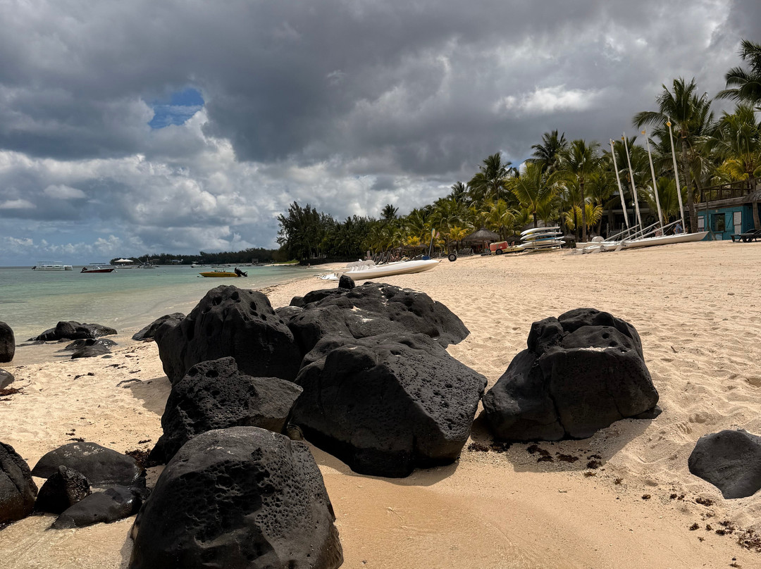 Rhino Africa Safaris-开普敦中心区必去景点