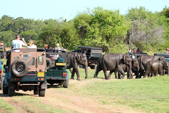 Sigiriya Ceylon Tours-锡吉里亚必去景点