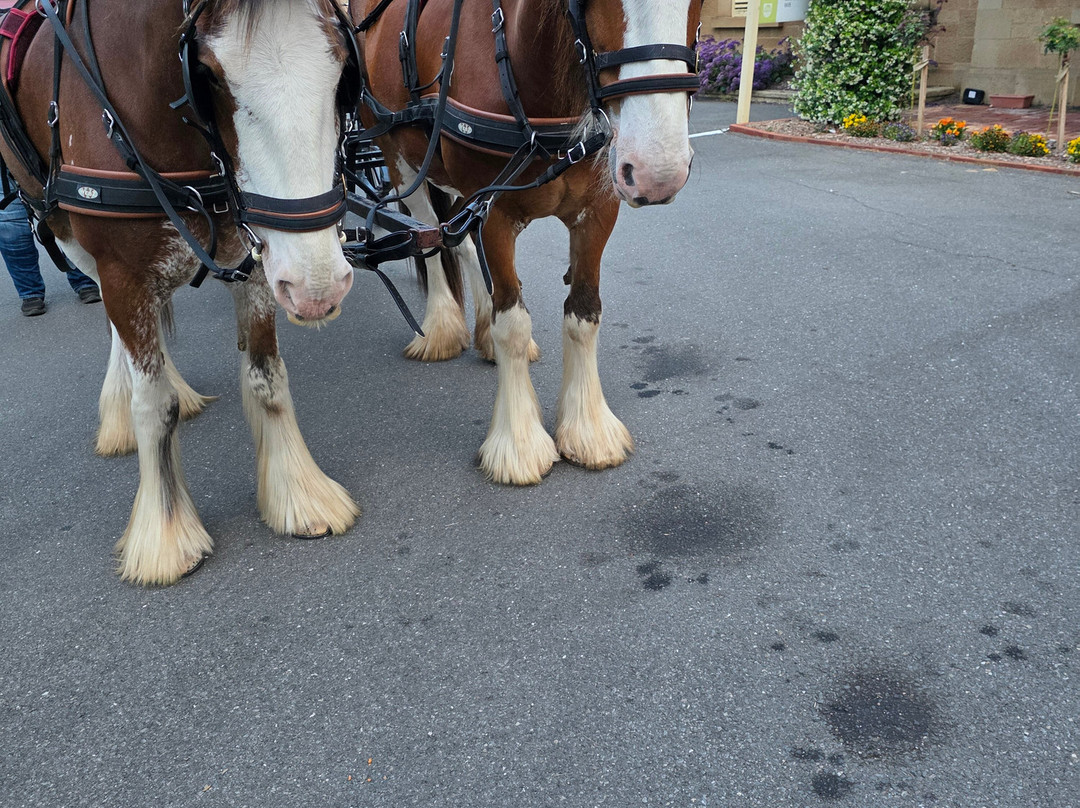 Carriage of Occasion-Langhorne Creek必去景点