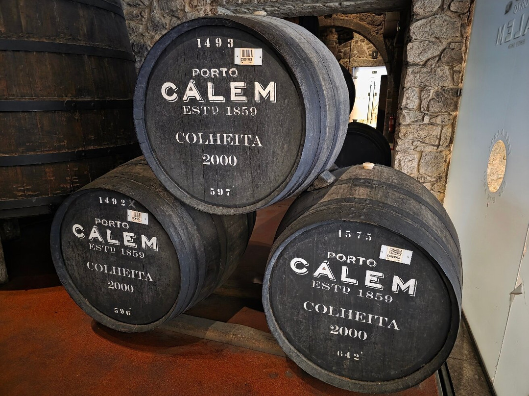 Porto Càlem-加亚新城必去景点