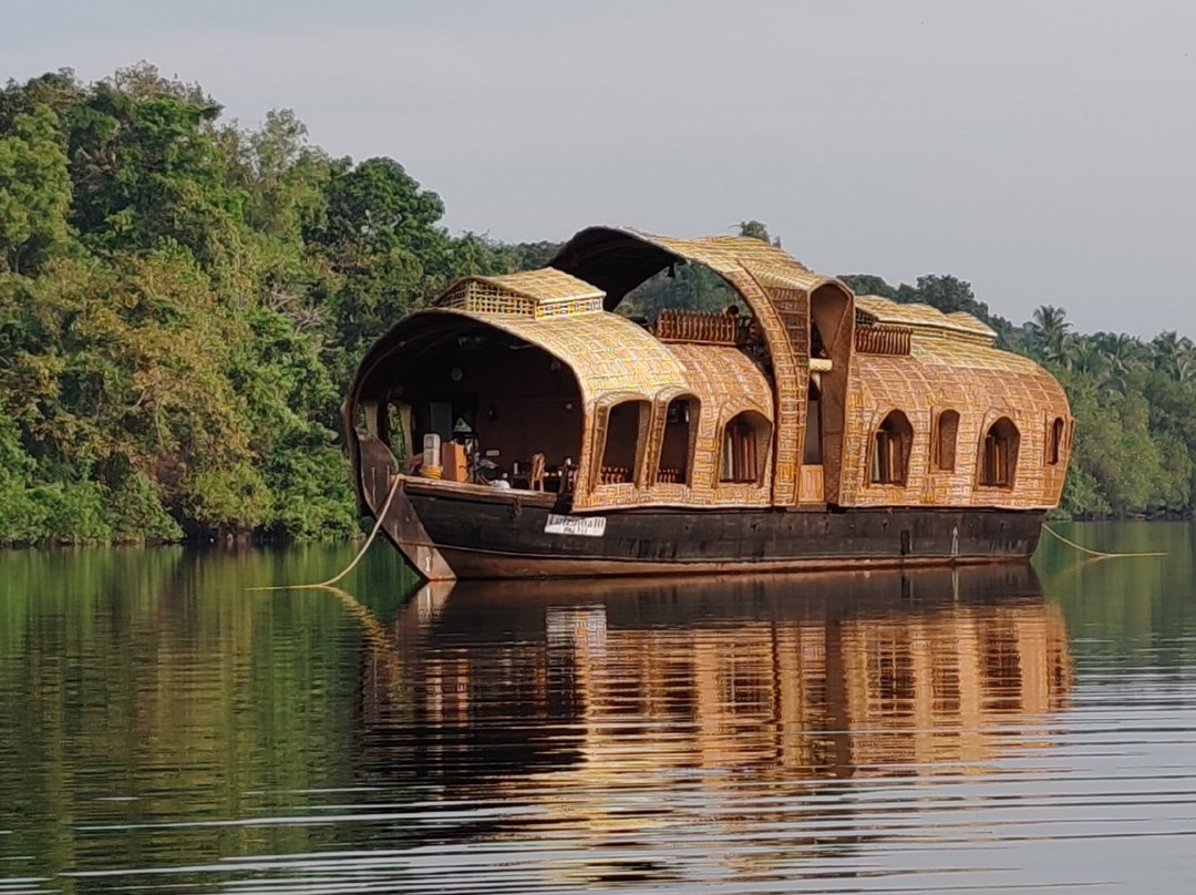 John's Boat Tours - Day Tours-坎多林必去景点
