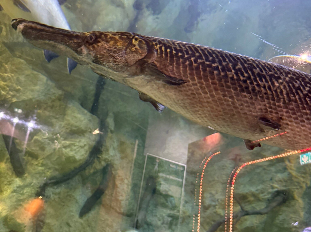 Aquarium du Limousin-利摩日必去景点
