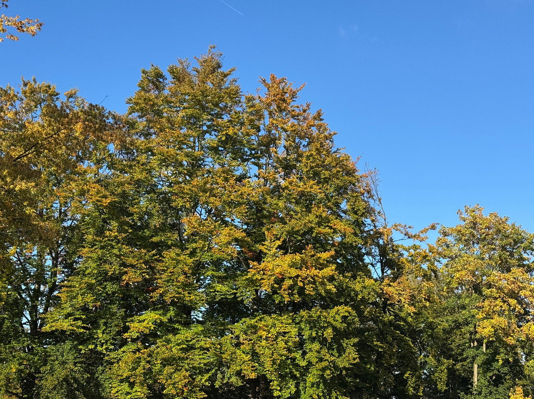 Josephskreuz-施托尔贝格必去景点