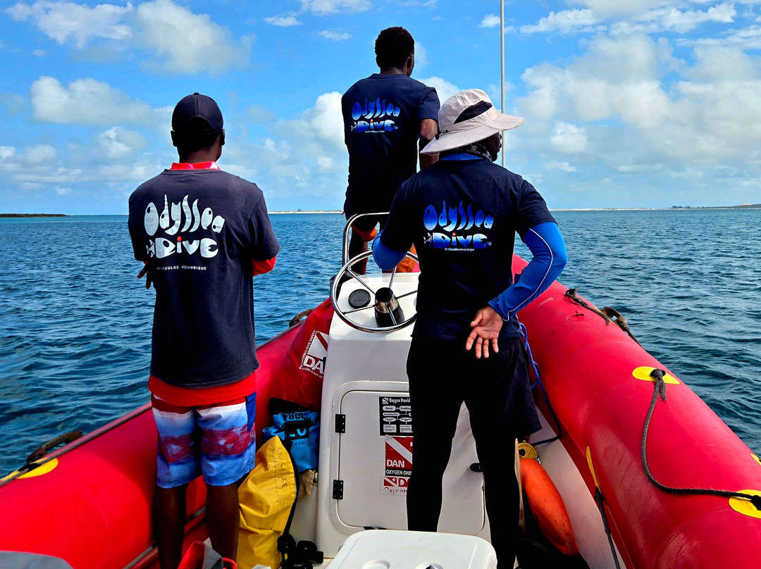 Odyssea Dive-Vilanculos必去景点