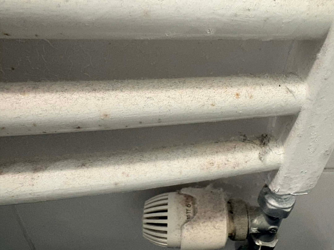 巴灵顿旅店主图