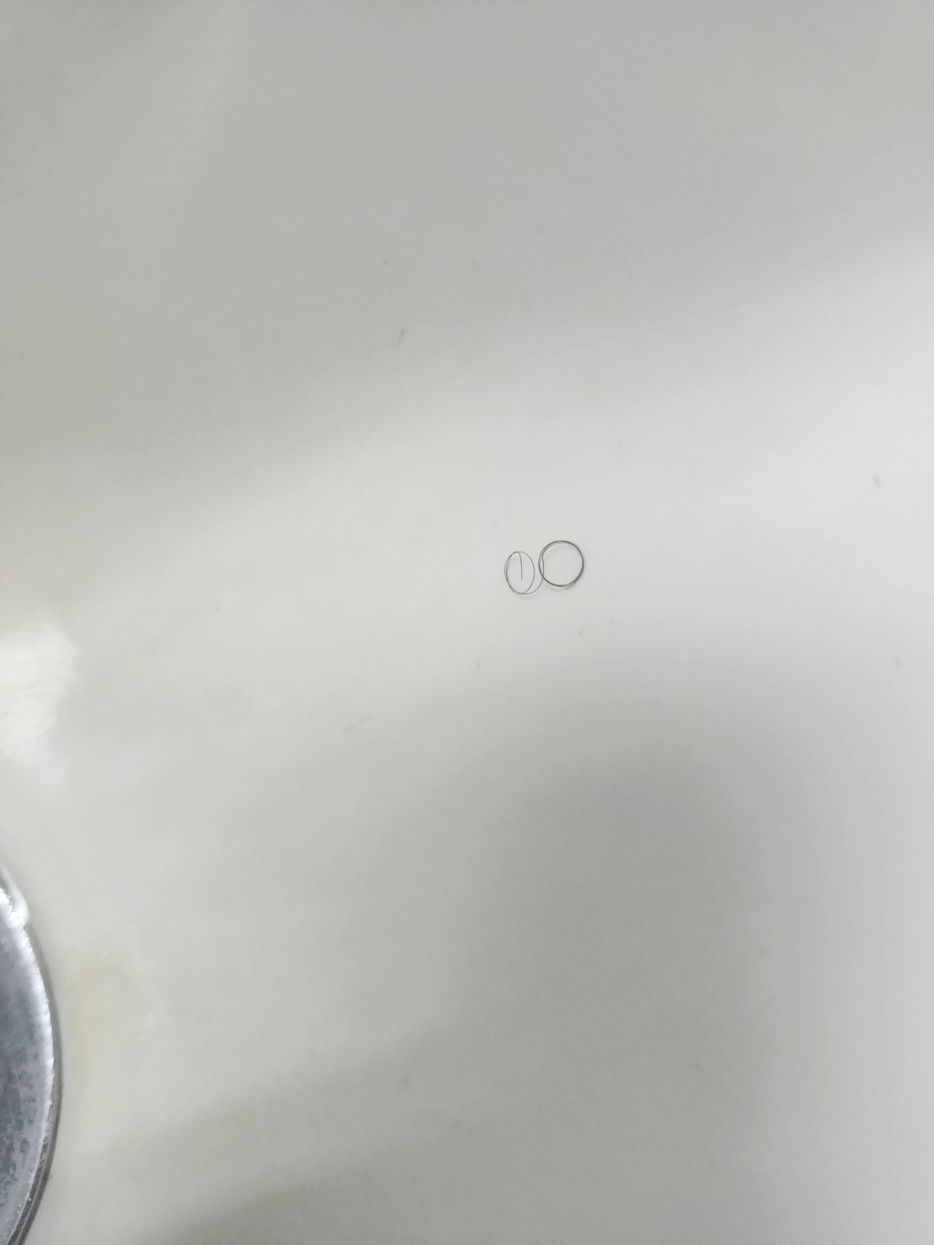 Casa Marina Beach & Reef-浴室