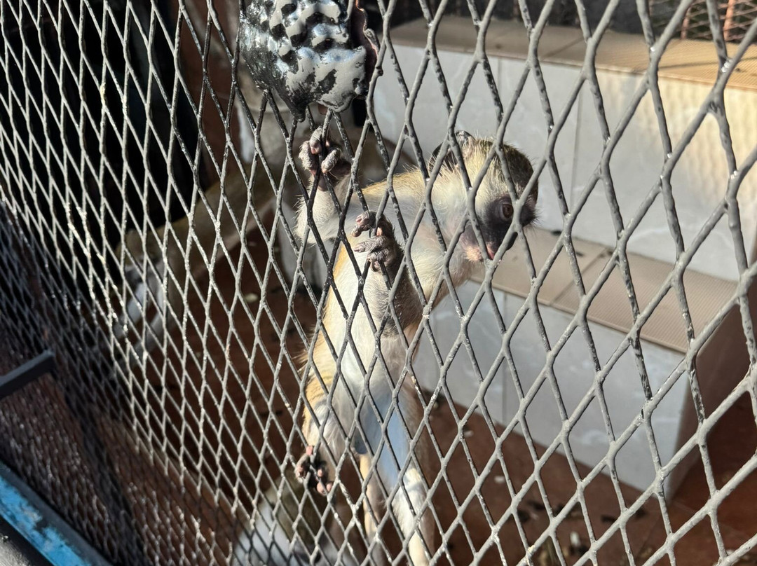 Dolphina Park-沙姆沙伊赫必去景点