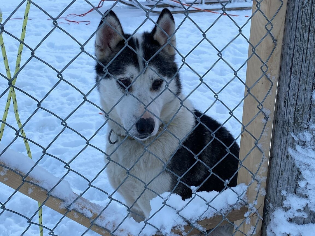 Nordland Adventures-博多必去景点
