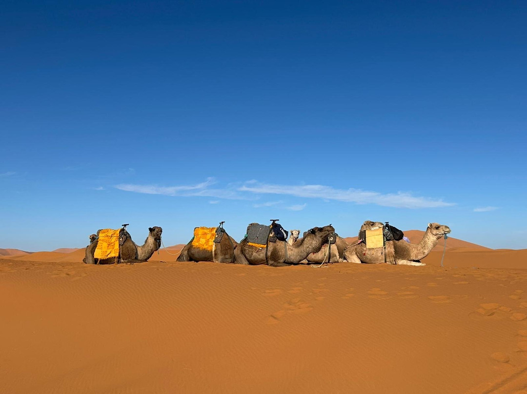 Prime Morocco Tours-非斯必去景点