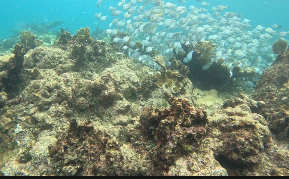 ScubaLibre Varadero-巴拉德罗必去景点