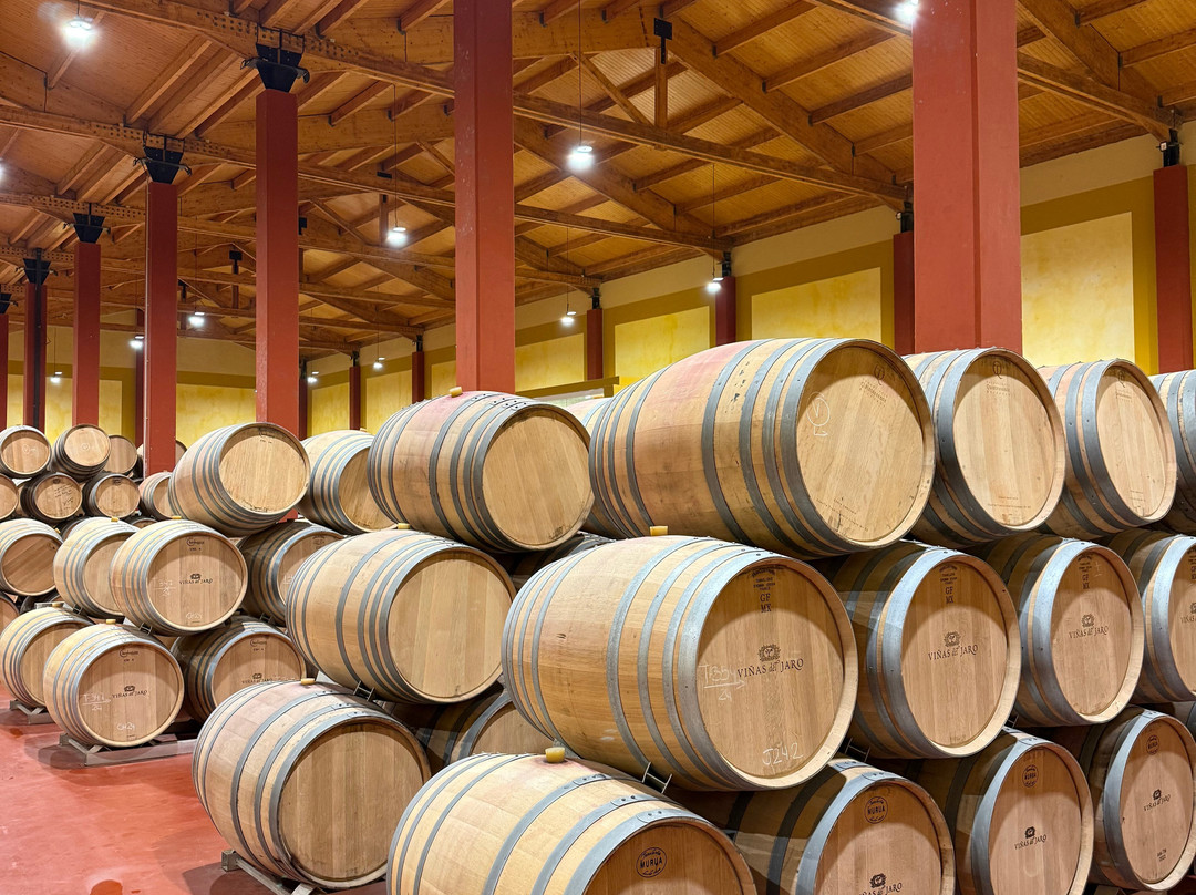 Viñas Del Jaro-Pesquera de Duero必去景点