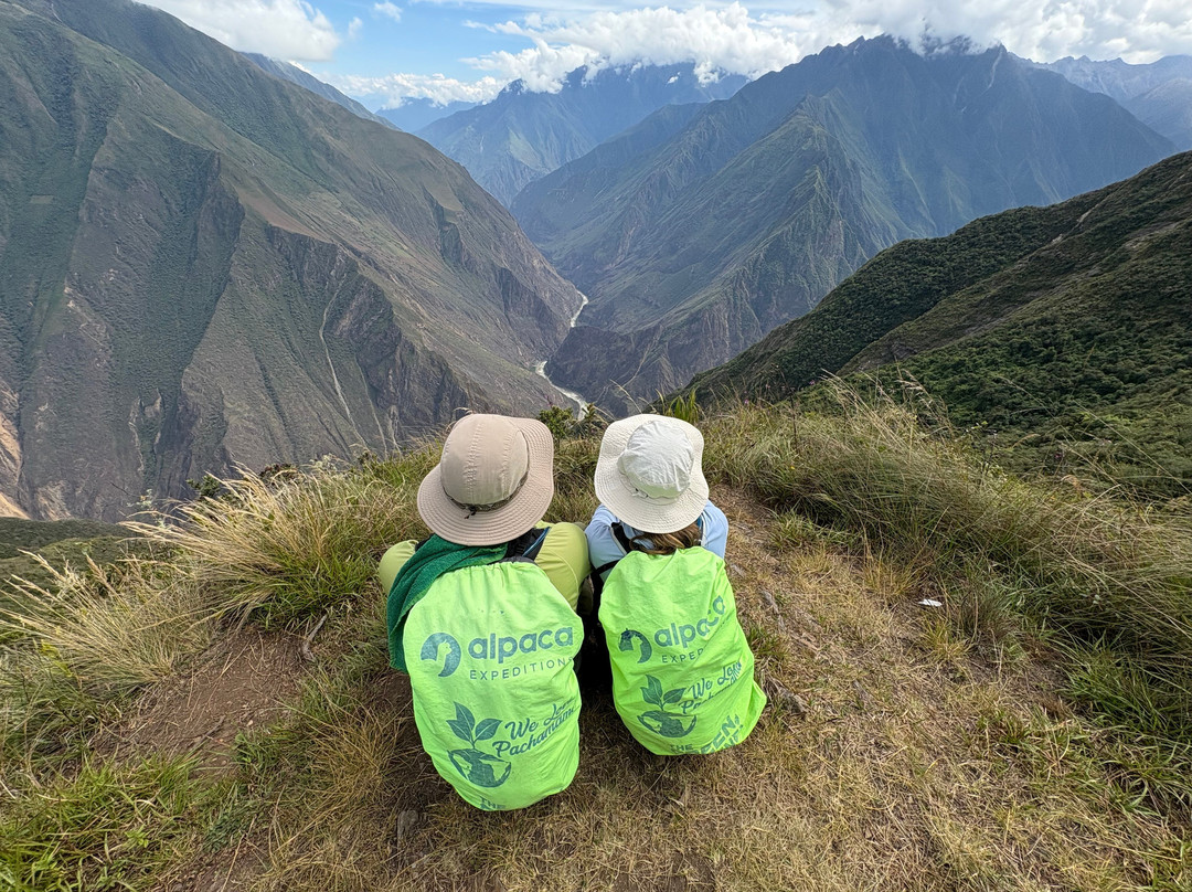 Alpaca Expeditions-库斯科必去景点