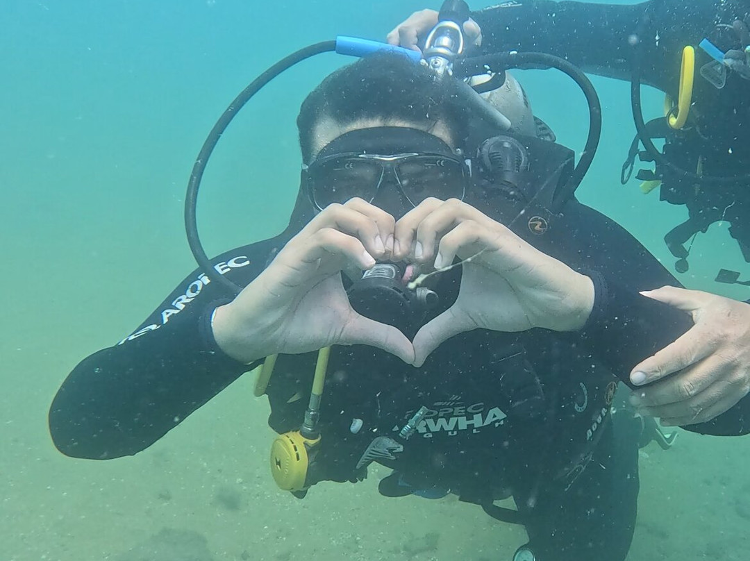 Narwhal-伊利亚贝拉必去景点