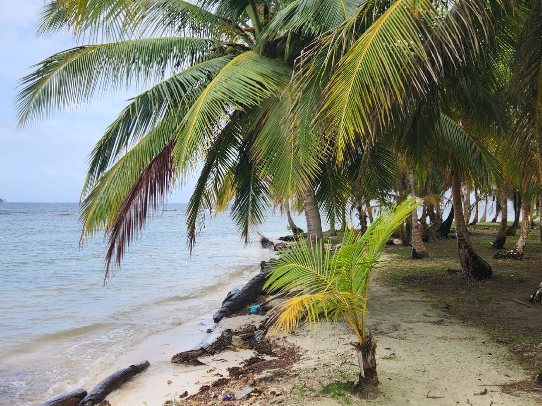 Anemoi Sailing-埃尔波韦尼尔必去景点