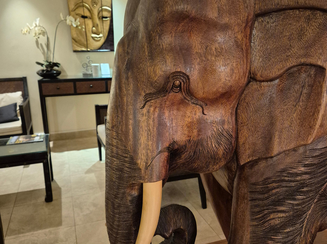 Careys Manor Hotel & SenSpa主图