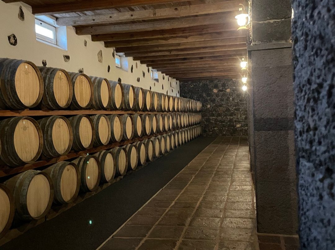 Wine Tours Lanzarote-卡门港必去景点