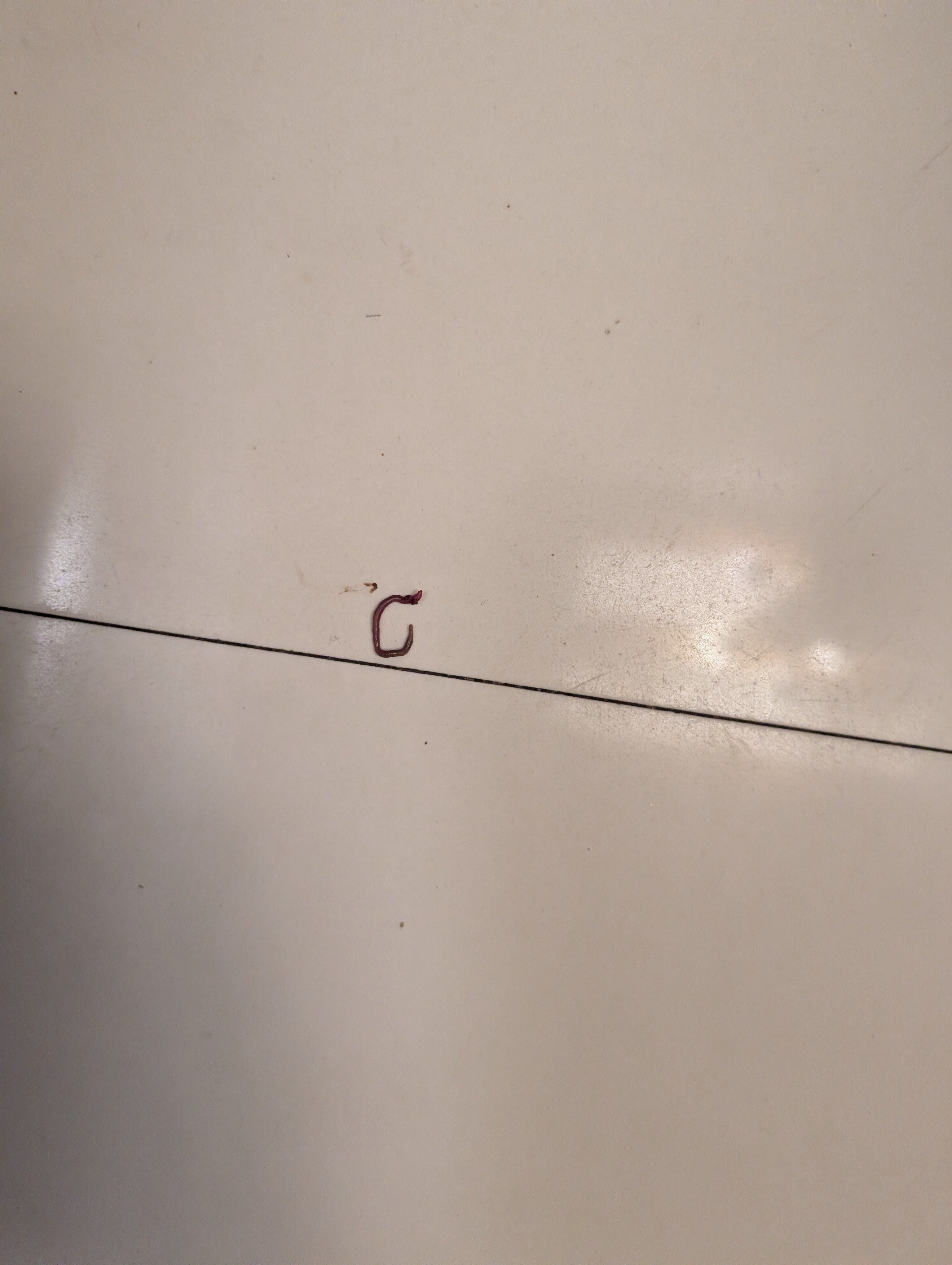 Hotel Seagate-官方