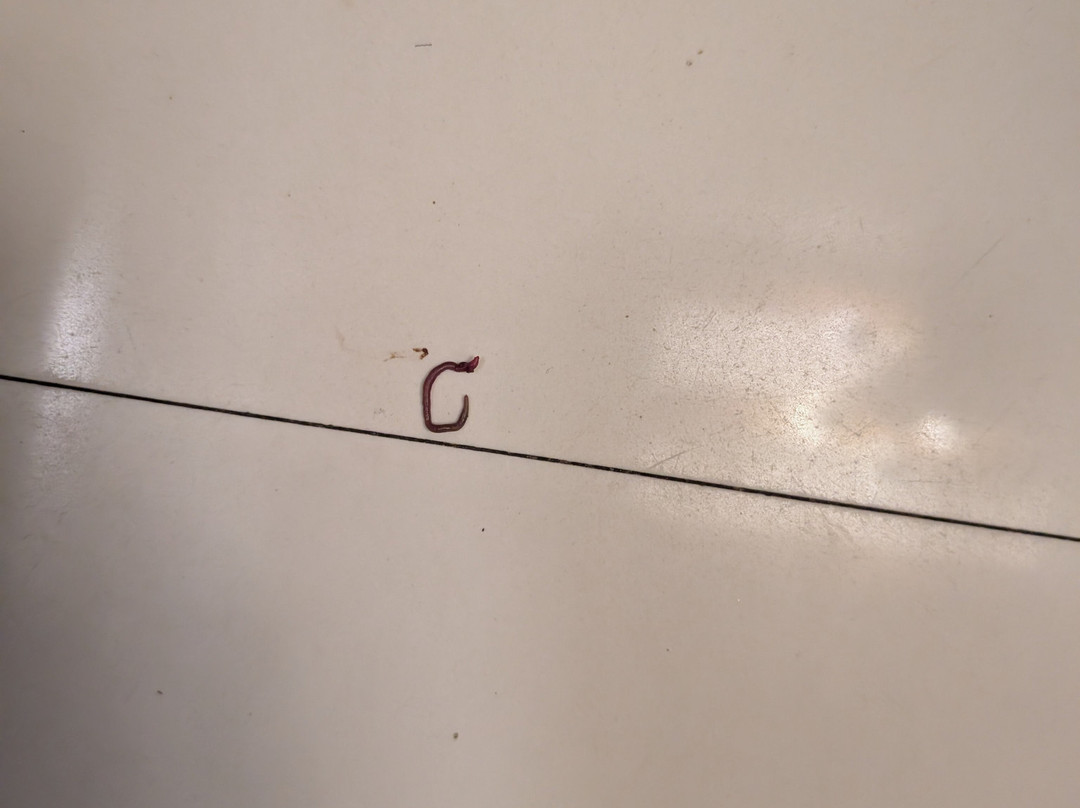 Seagate Church View Resorts主图