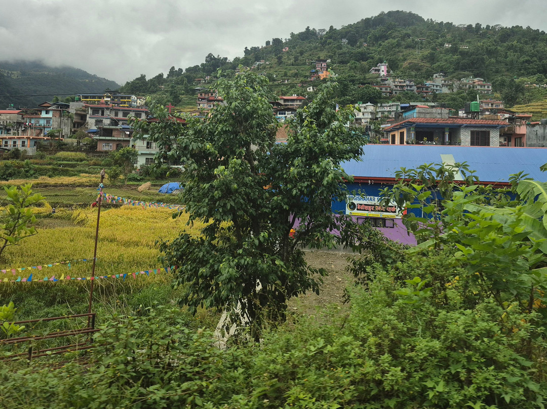 Nepal view treks and expedition pbt.ltd-纳加阔特必去景点