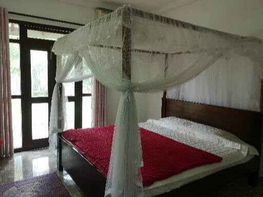 Galle Camellia主图