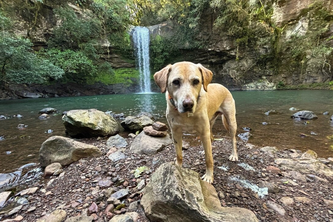 Cachoeira Garapiá-Maquine必去景点