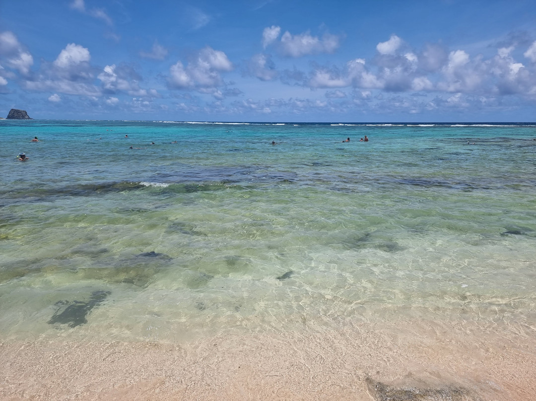 Coral Belle Catamaran Cruises-大湾必去景点
