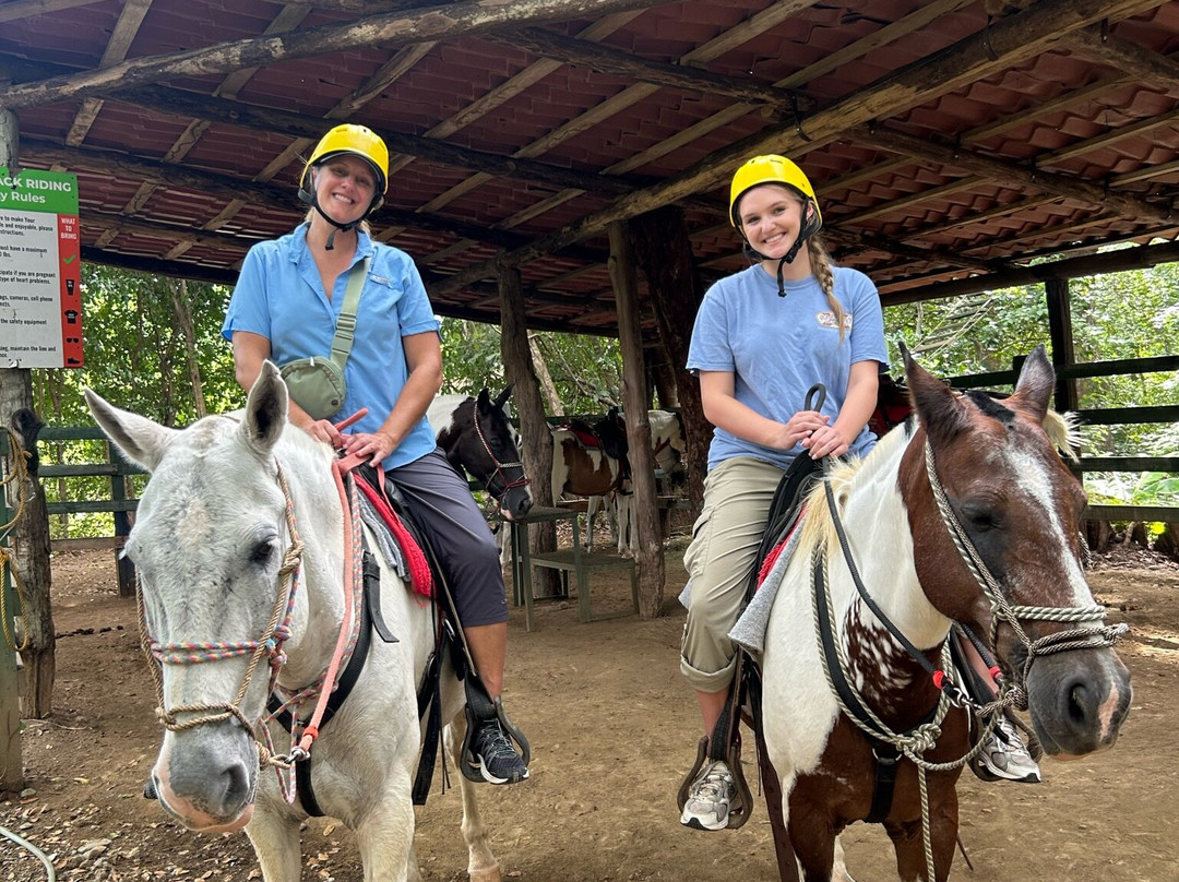 Congo Canopy Tours-Artola必去景点