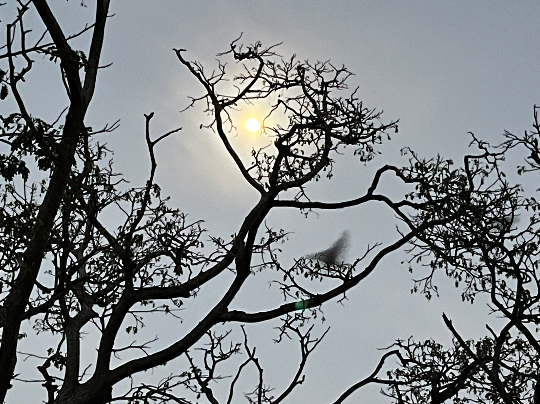 Visit Sri Lanka Transfers-Ratmalana必去景点