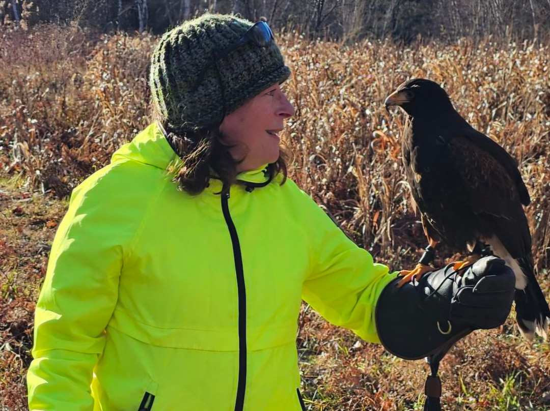 Monadnock Falconry-Temple必去景点