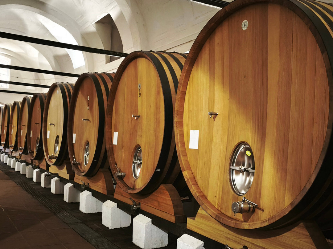 Grand Rota Tours - Portugal-波尔图必去景点