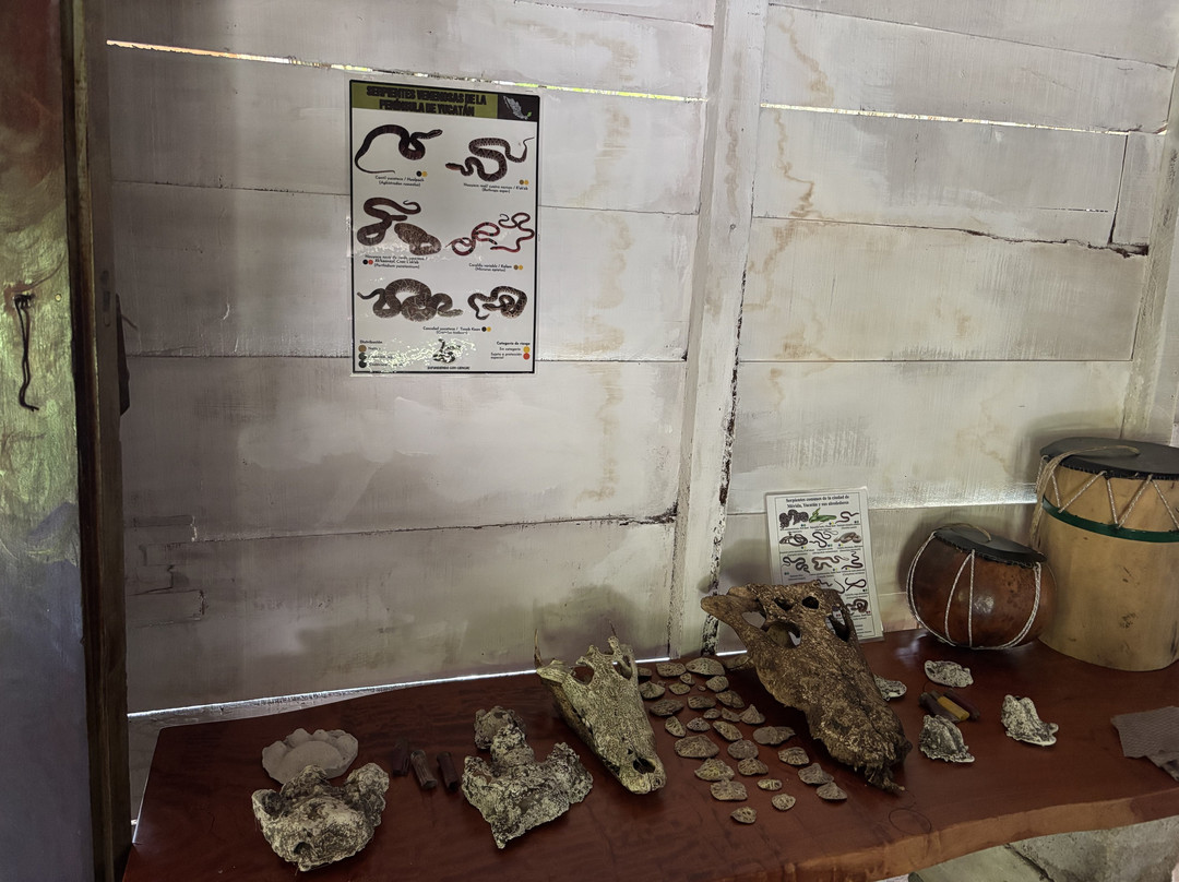 K'u' Áayin - Nido de Cocodrilos-Chunhuhub必去景点