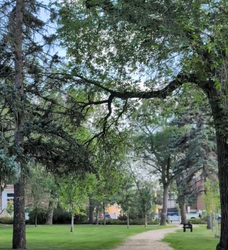 Victoria Park-里贾纳必去景点