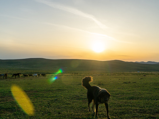 Amaico Travels-乌兰巴托必去景点