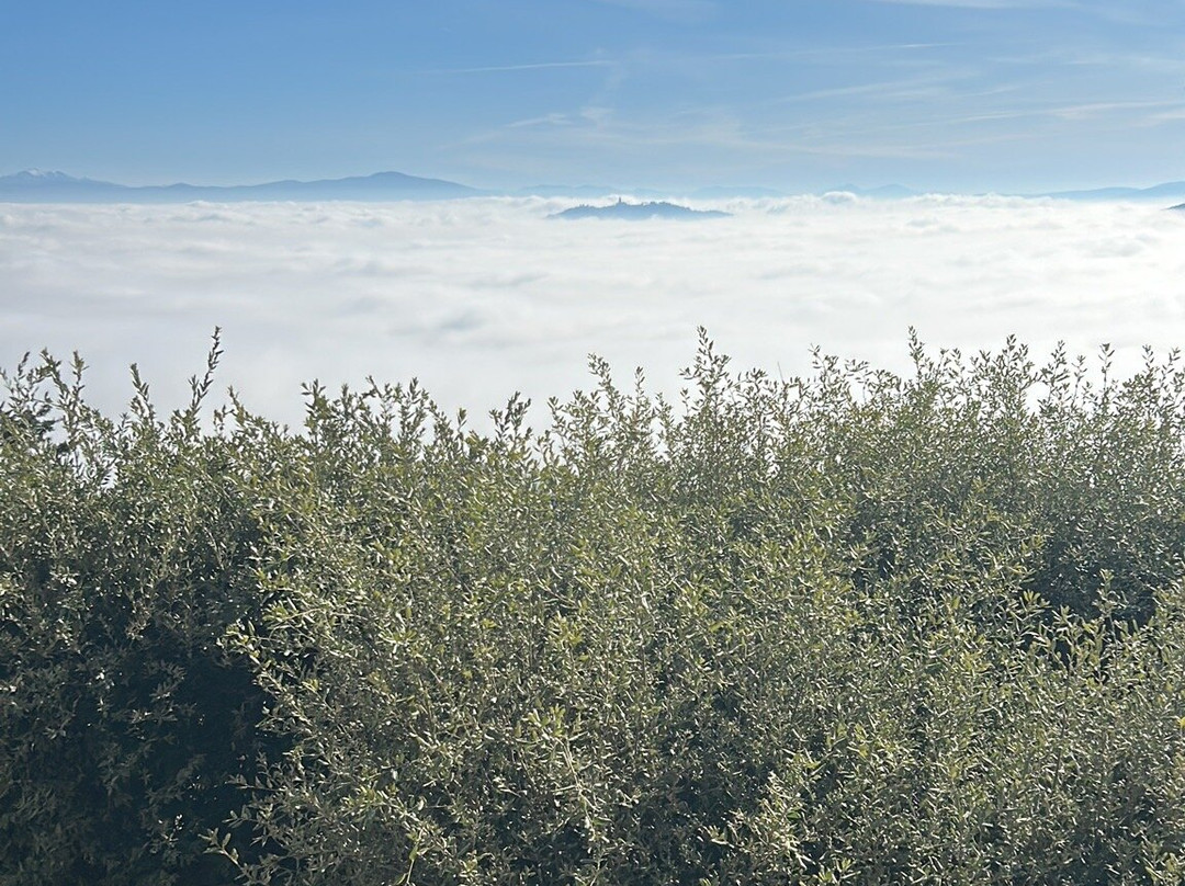 Monte Castello Di Vibio-Monte Castello di Vibio必去景点
