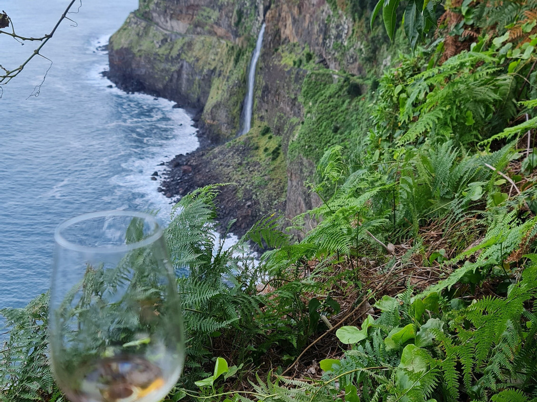 Vinha Do Véu Da Noiva-莫尼什港必去景点