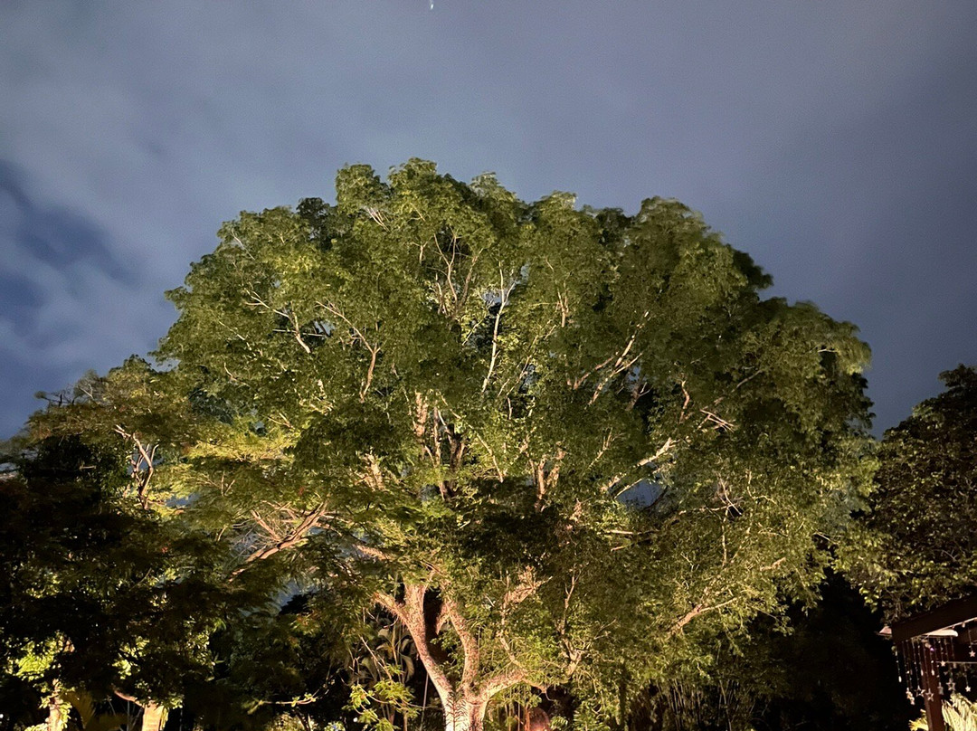Pousada Rainha Da Mata主图