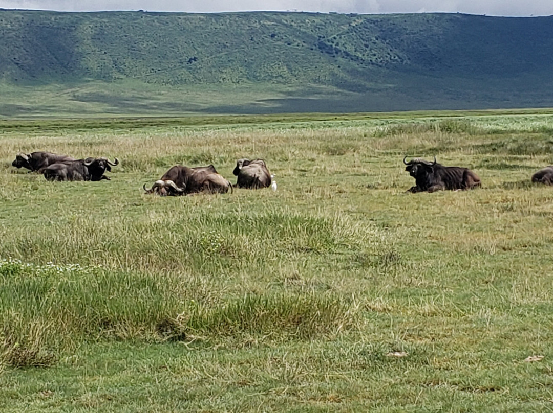 Mamnana Adventures-Olasiti必去景点