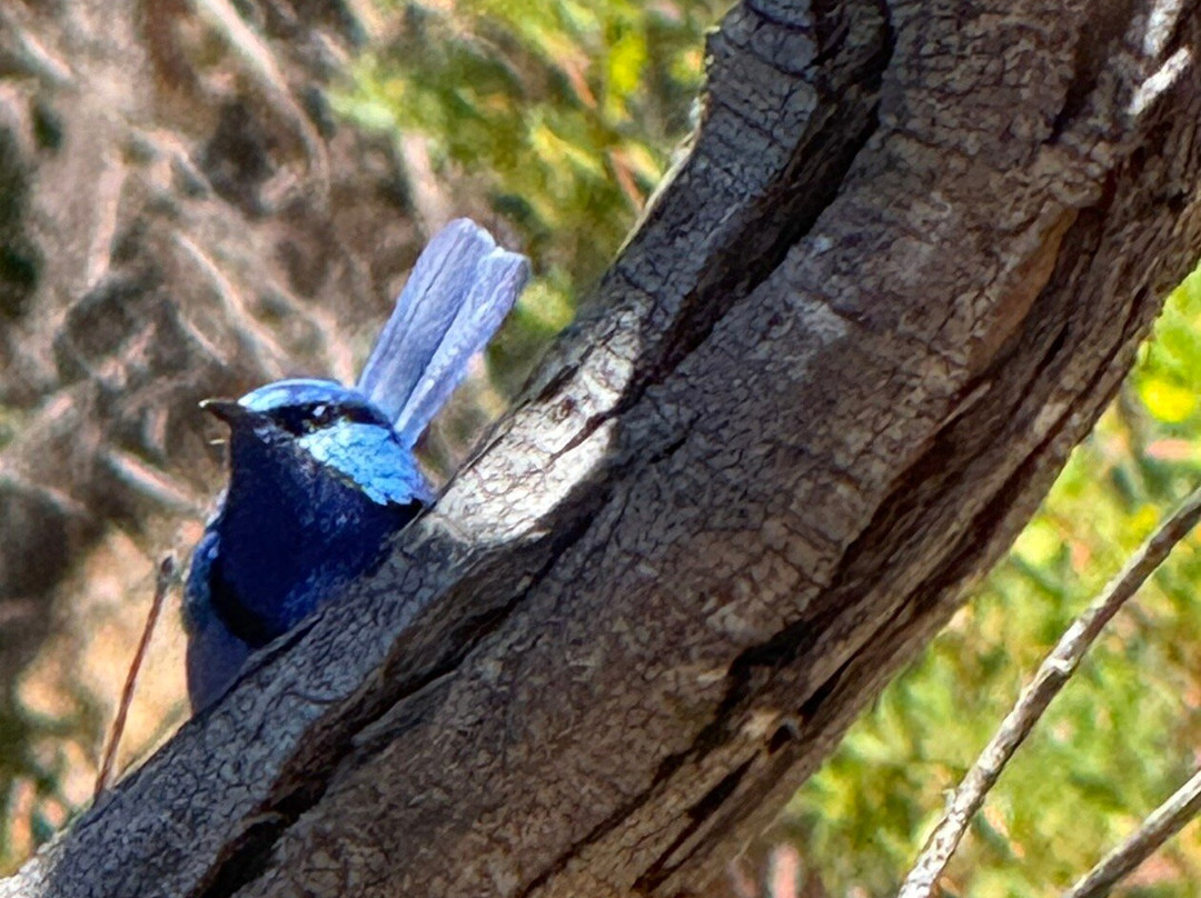 Neil Hawkins Park-Joondalup必去景点