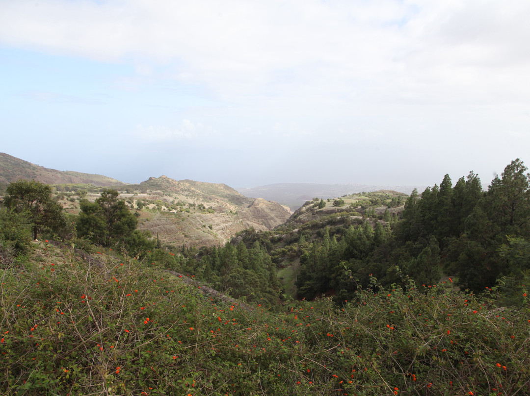 Porto Novo-Ribeira Grande Road-Porto Novo必去景点