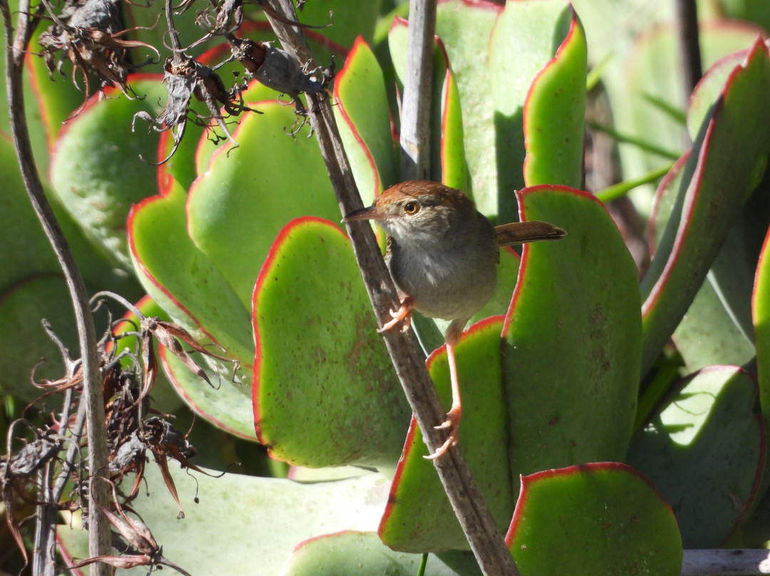 Reflections Eco Reserve主图