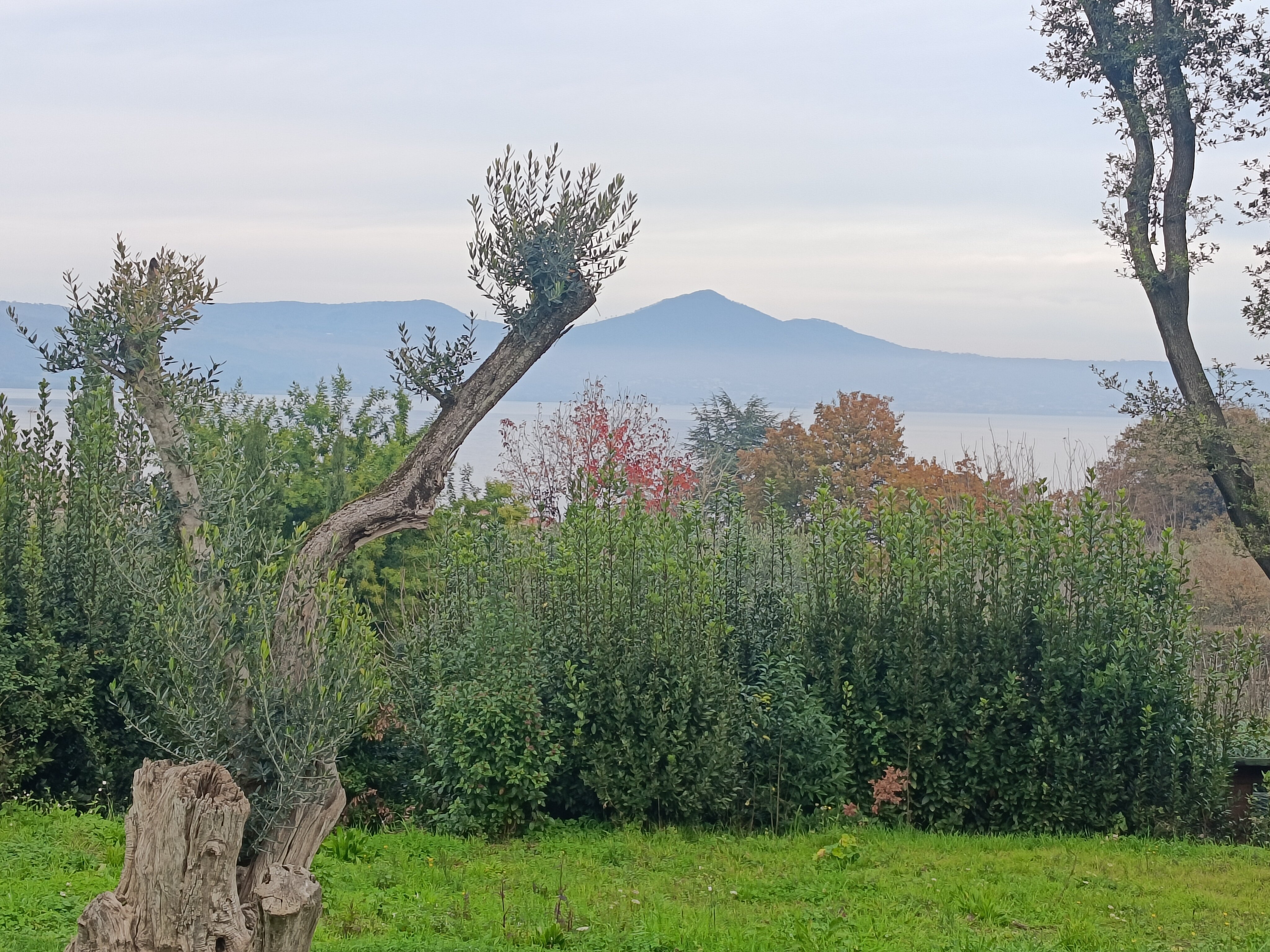 Vigna Caio Relais & Spa-官方