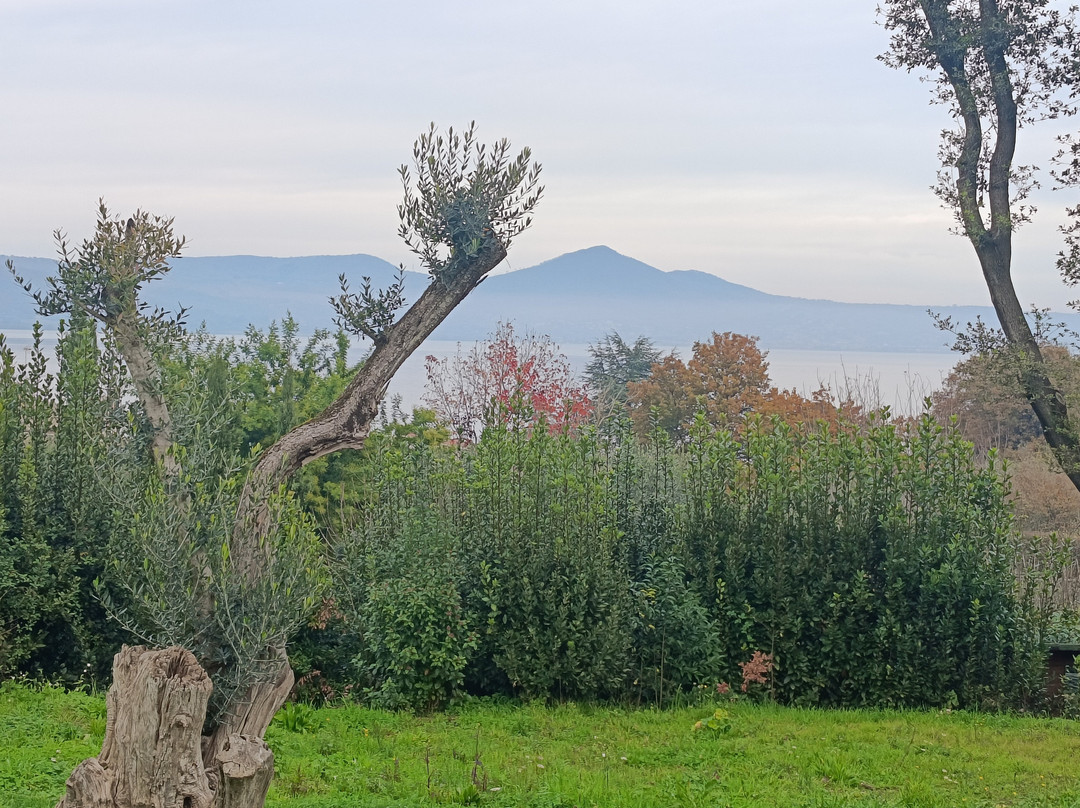 Vigna Caio Relais & Spa主图