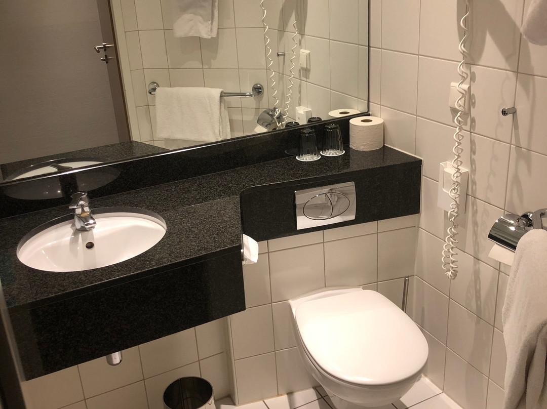 埃朗根诺富特酒店主图