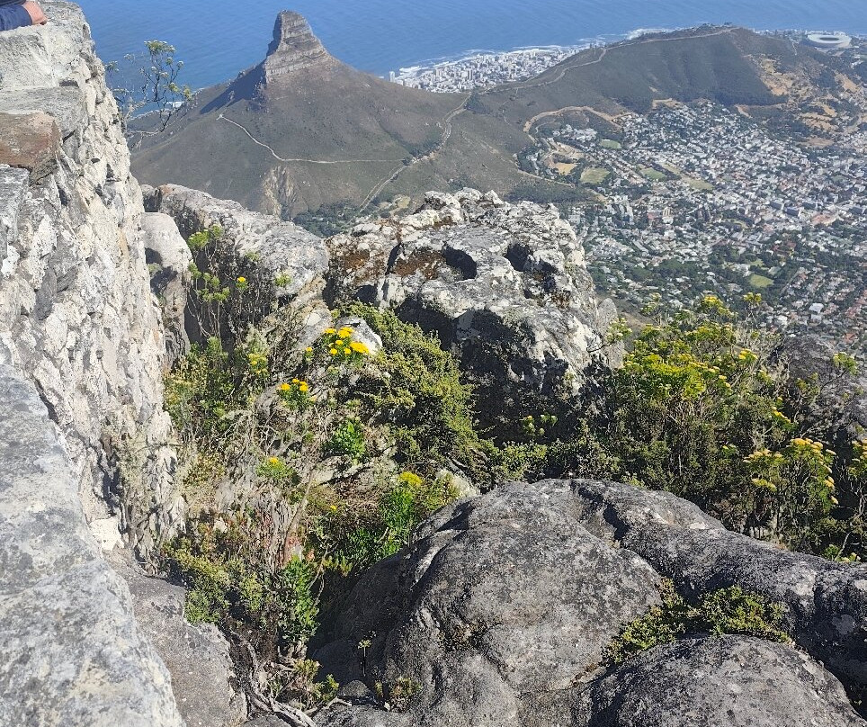 卡迈克尔宾馆主图