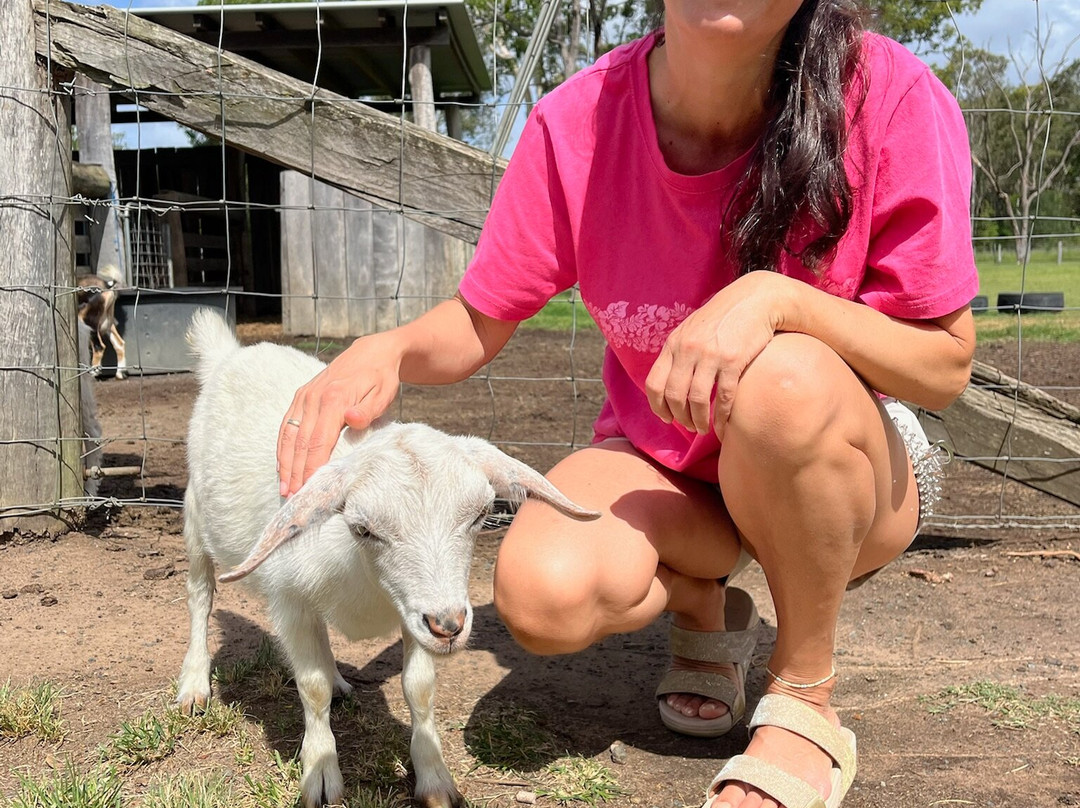 Splitters Farm-邦德堡必去景点