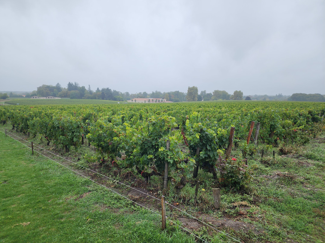 Chateau Haut Bailly-Leognan必去景点